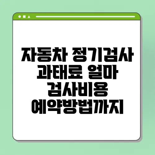 자동차 정기검사 과태료 얼마 검사비용 예약방법까지