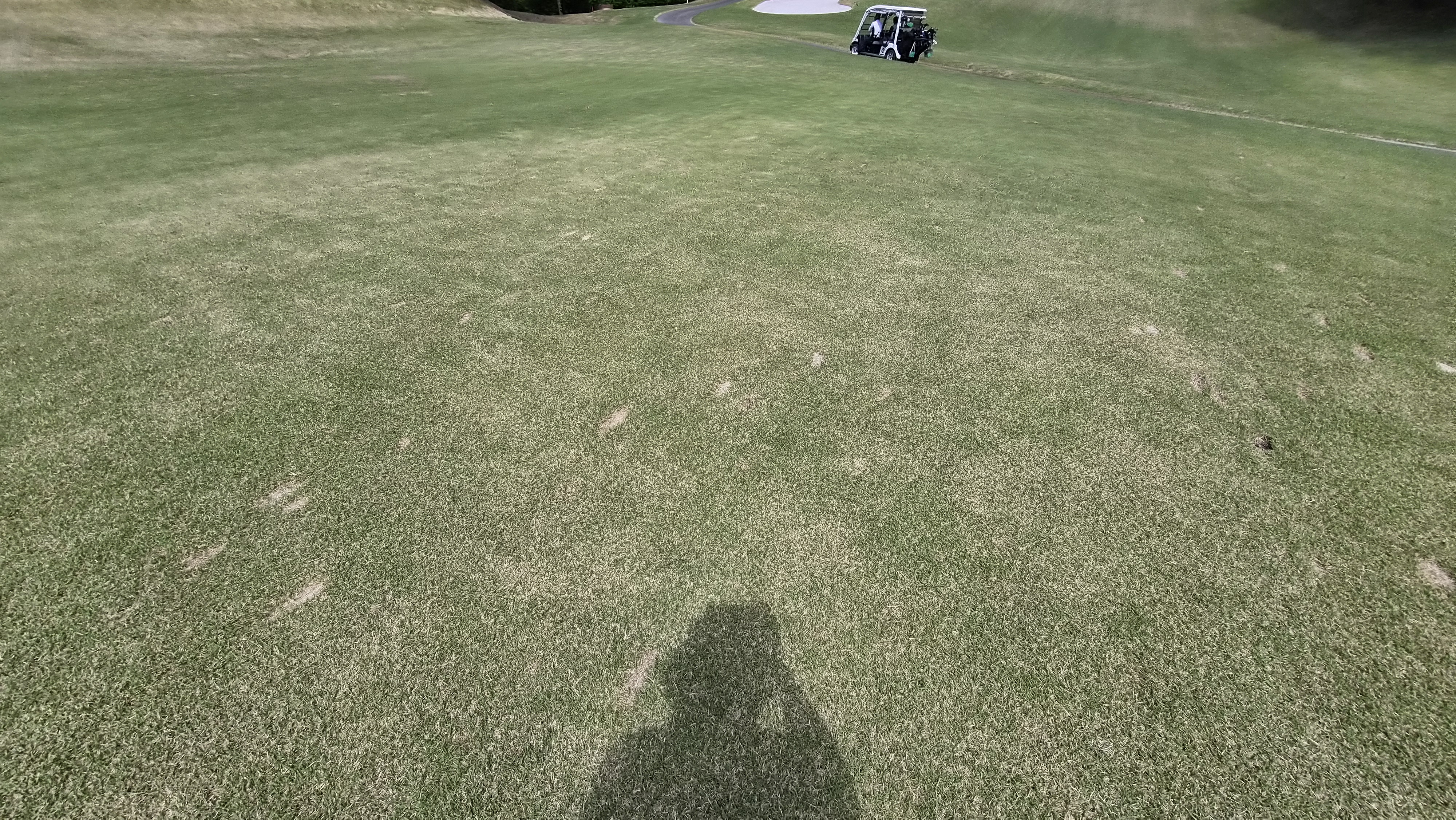 포웰cc 프린세스 라운드 후기