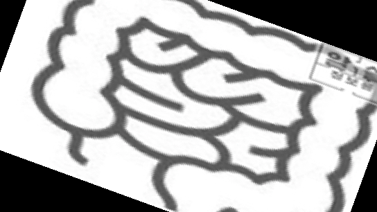 카무트 쌀 가루 효능