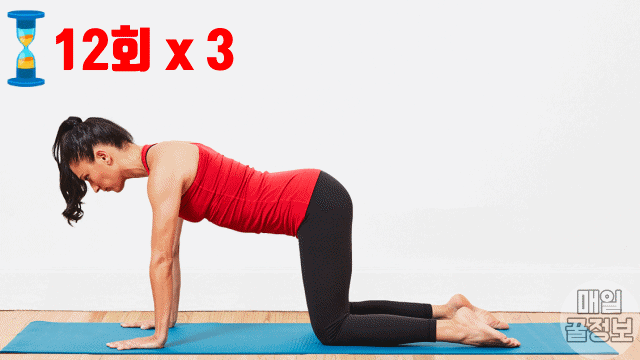 최고의 힙업 운동 5가지 힙익스텐션, 애플힙 운동, 엉덩이 살빼는 운동, 다이어트 팁줌 매일꿀정보