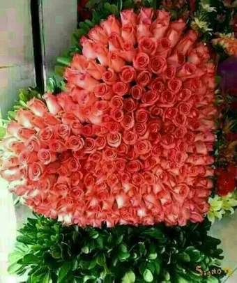 결혼 축하글 예문과 센스 있는 문구 모음 자세히 살펴보기_25