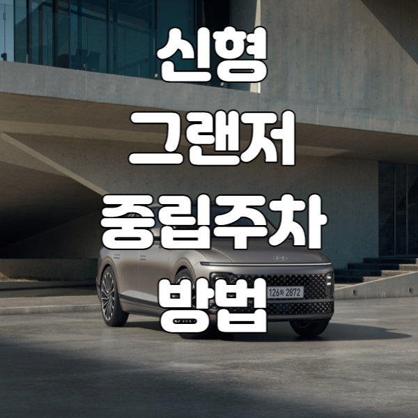신형그랜저중립주차방법