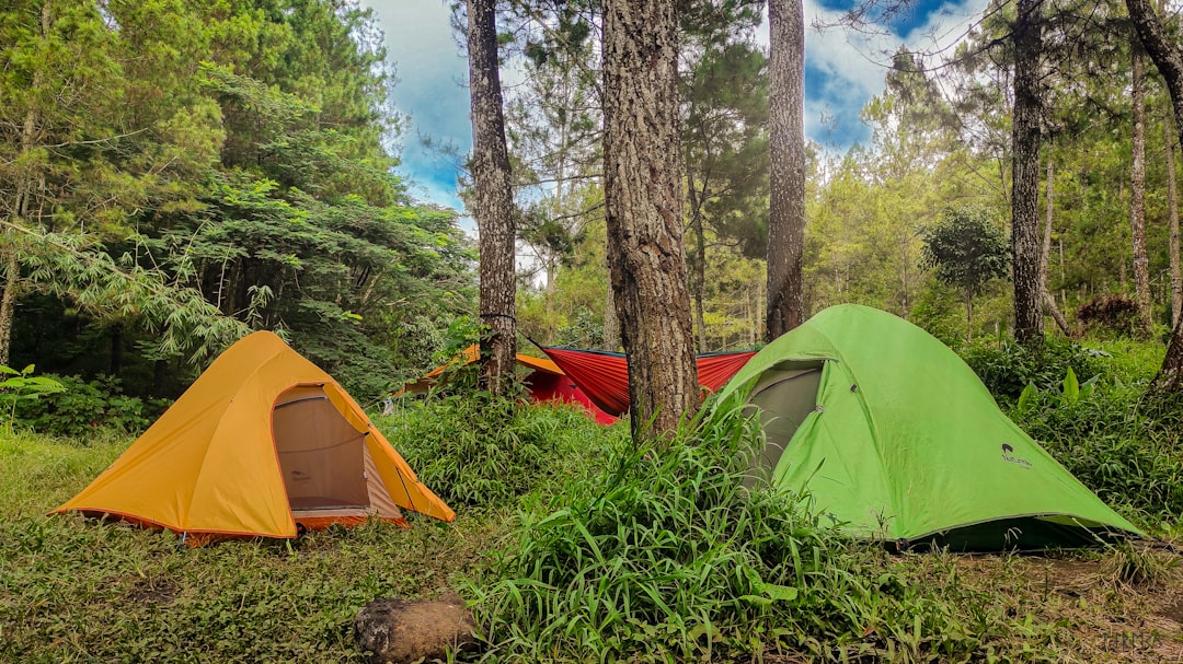 Outdoor activities
