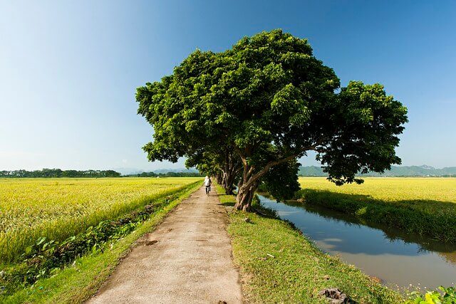 2025년 최신 농지연금 가입조건, 예상 수령액