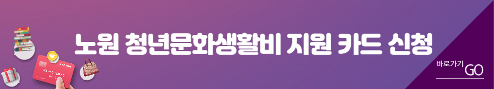 노원 청년문화 생활비 2