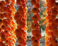 곶감선물세트 상품 유명한 지역 상주 영동 산청 청도 논산 영동 함양 곶감선물세트