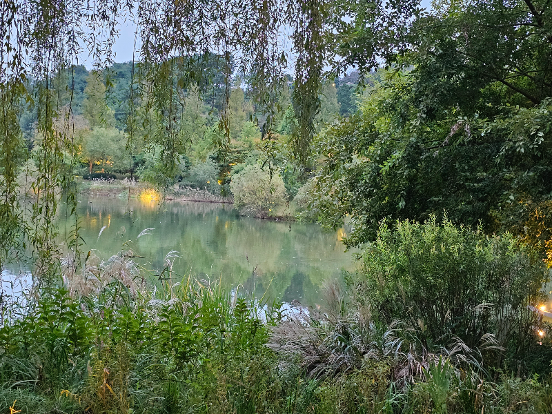 순천만 국가정원 내 호수 전경