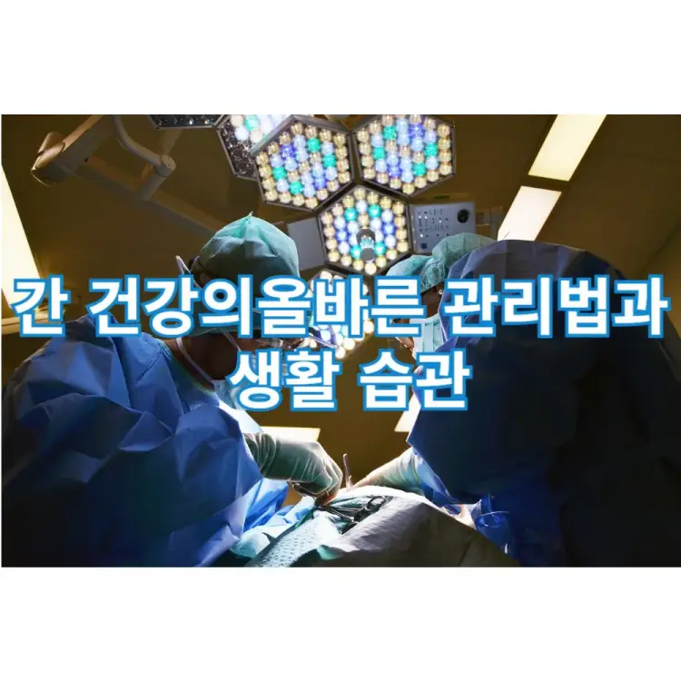 간건강의 올바른 관리법과 생활습관