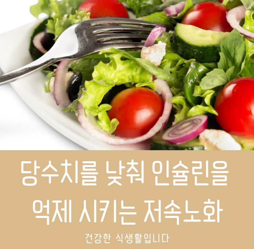 당수치를 낮춰 인슐린을 억제 시키는 저속노화 제목 이미지