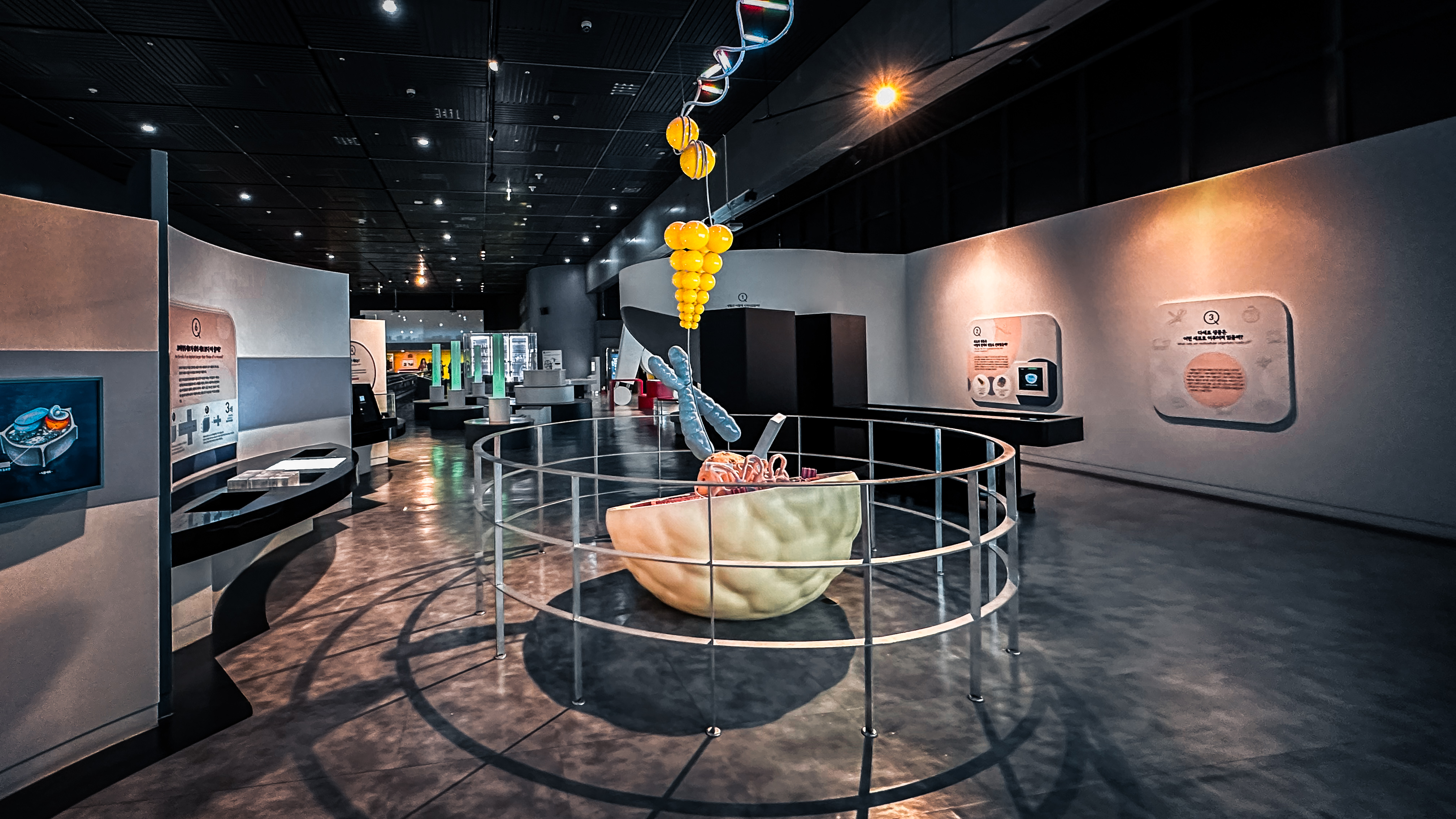 국립 중앙 과학관