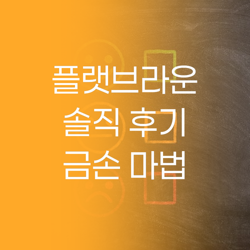 메리쏘드 플랫브라운 섀도우, 똥손도 ..