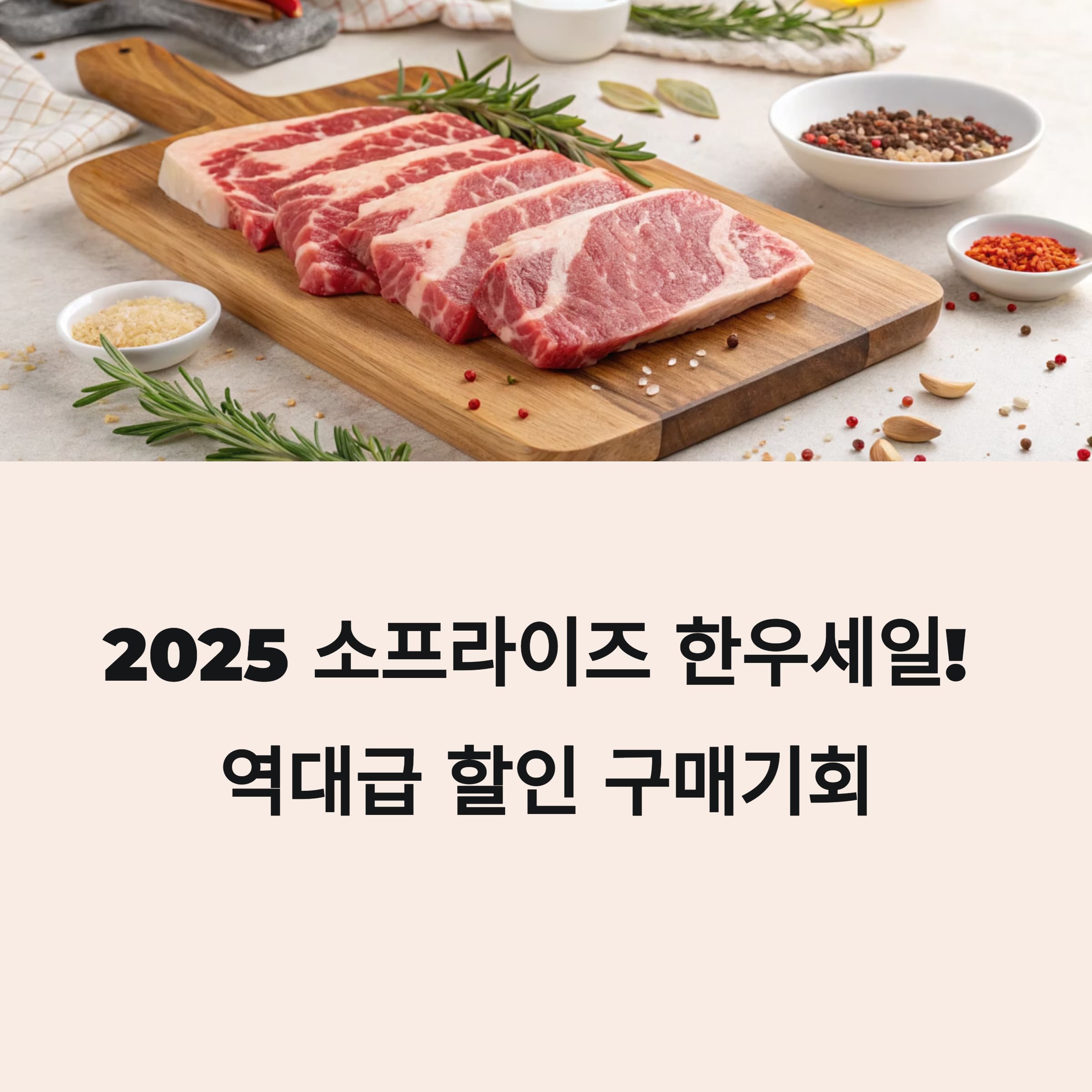 소프라이즈-2025