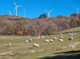 평창 가을 단풍 여행 명소