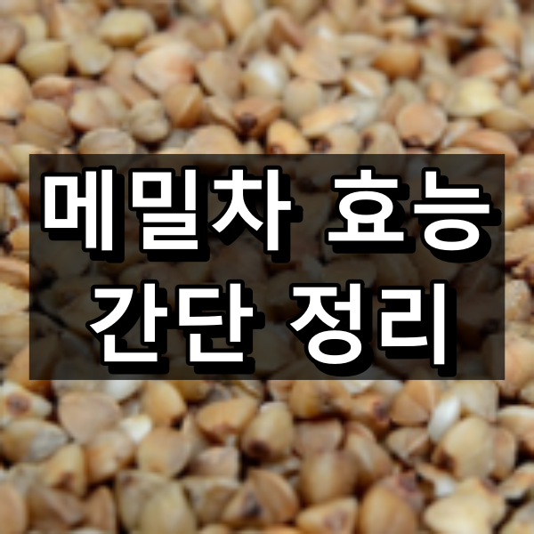 메밀차 효능 대표 이미지