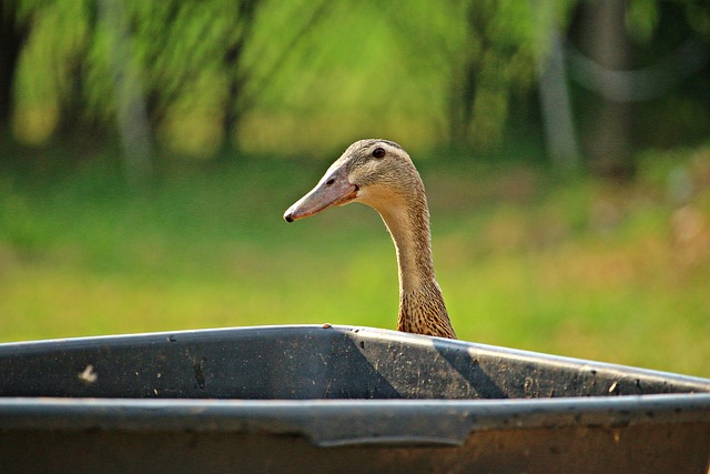 서울시 운동비 지원