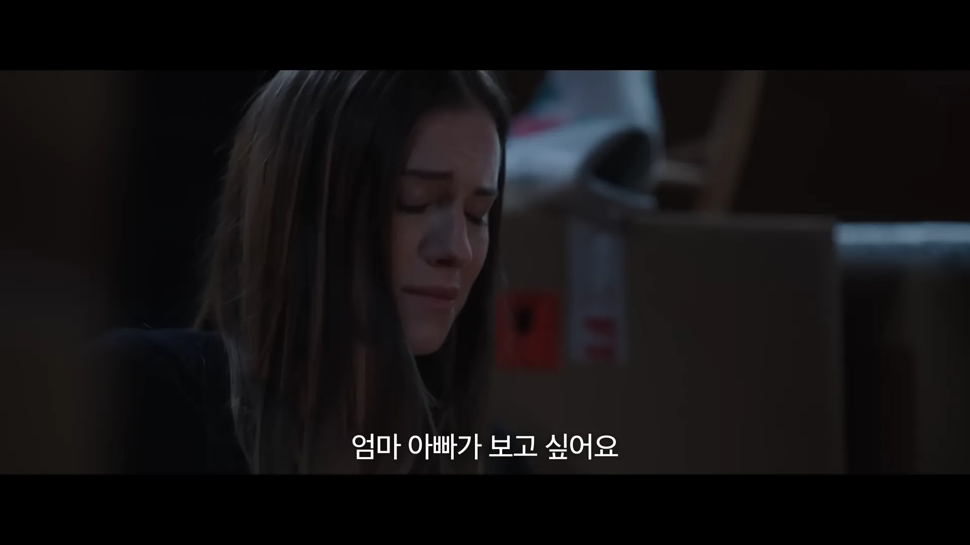 영화-메간