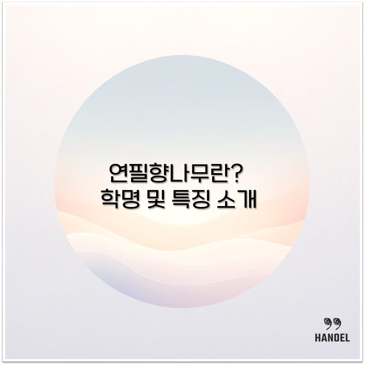 연필향나무