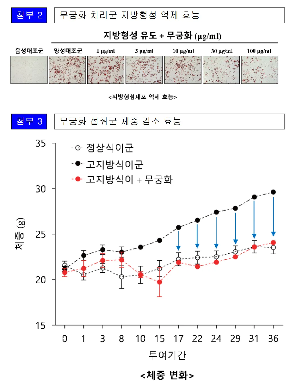 무궁화 다이어트 효과 입증 자료