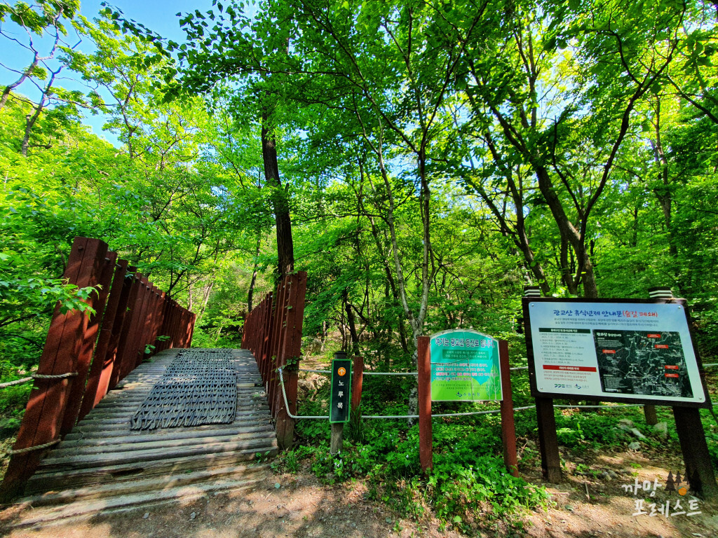 광교산 노루목 입구