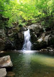 경남 거창 ‘용추계곡’ 사진