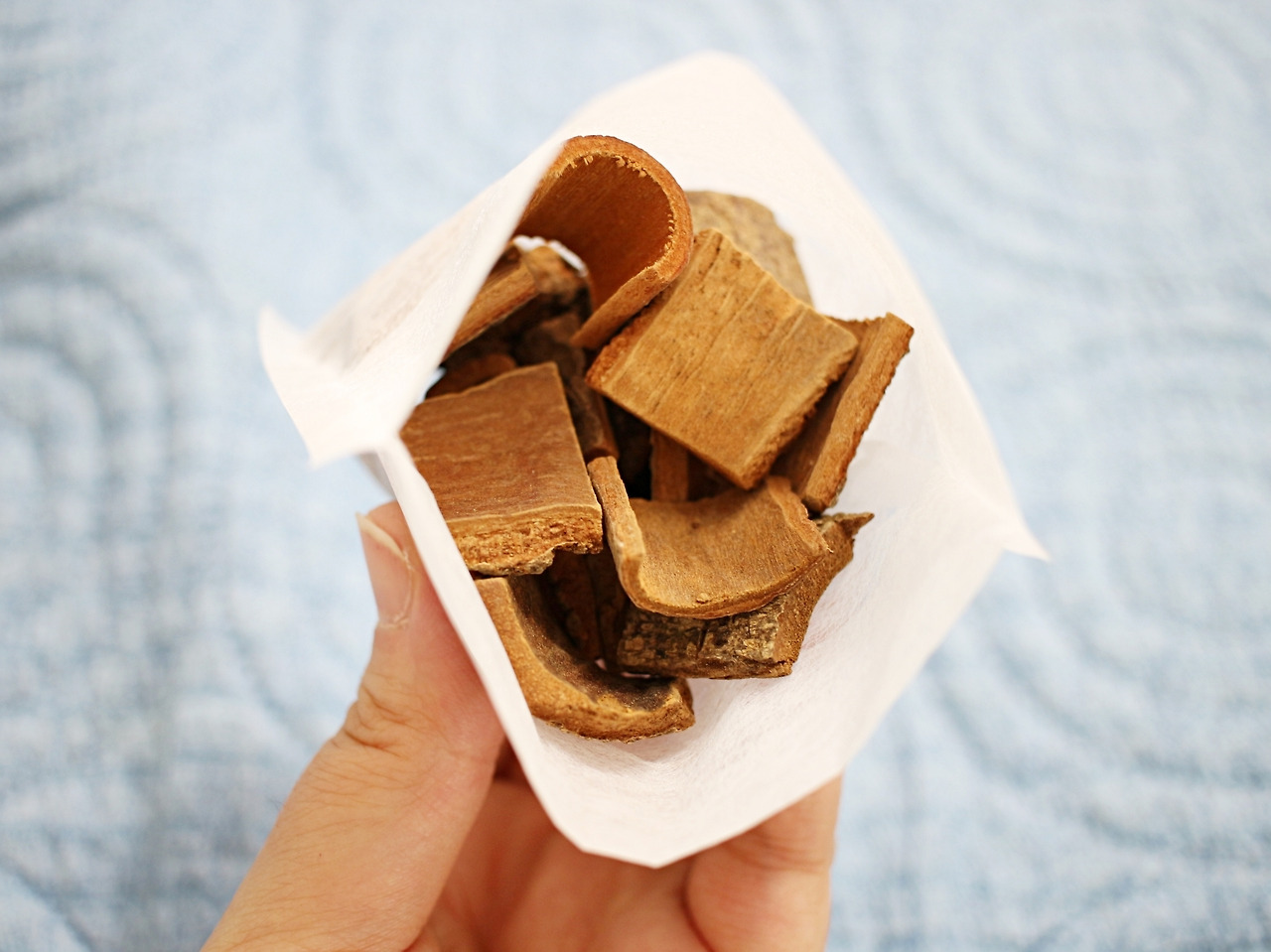 습기 돈 안들이고 잡는 꿀팁