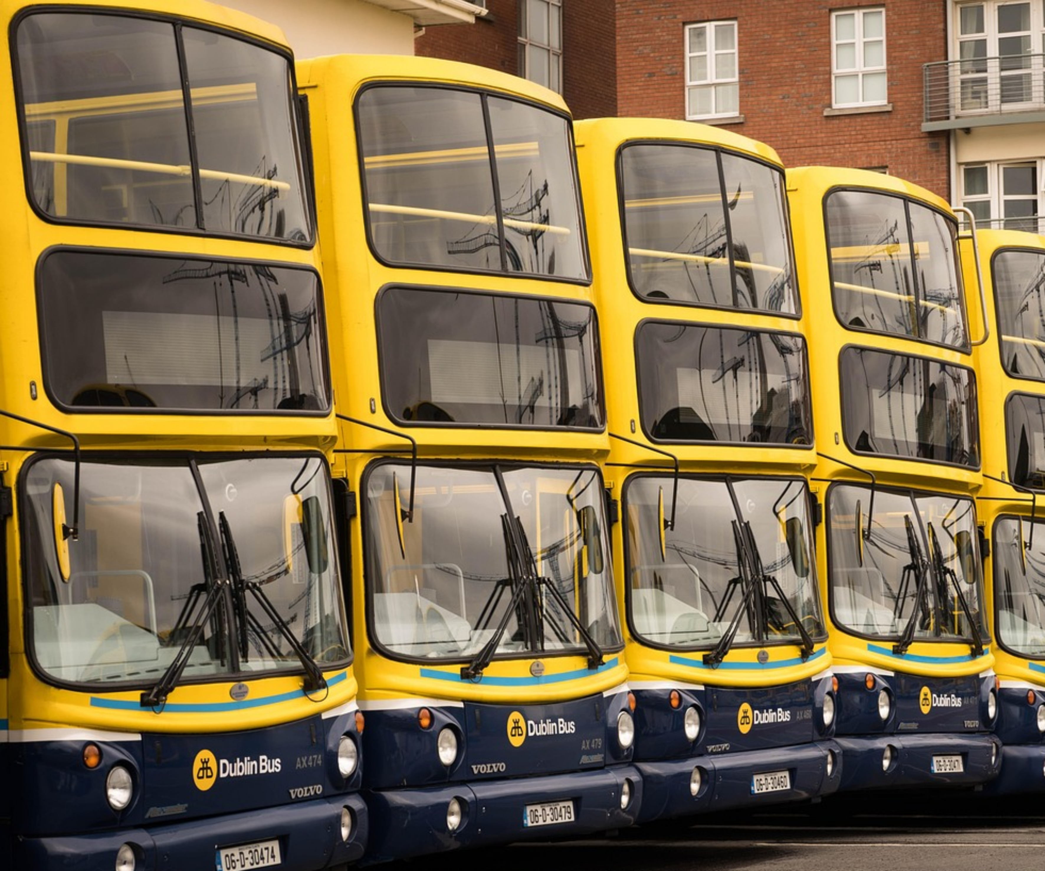 2025 정부 지원금, 놓치면 후회할 필수 혜택