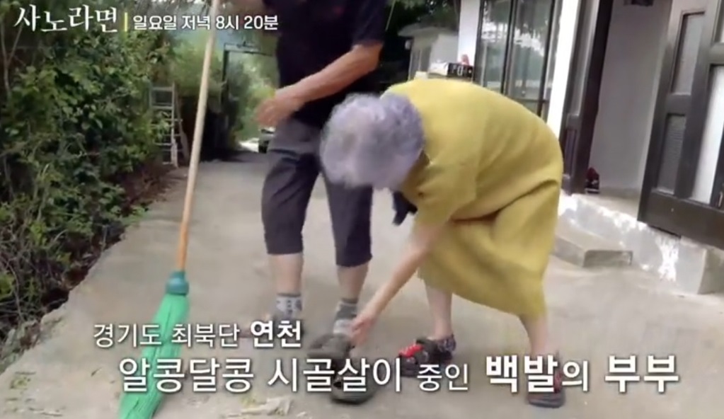 사노라면-염소할배-얼음공주-황혼일기