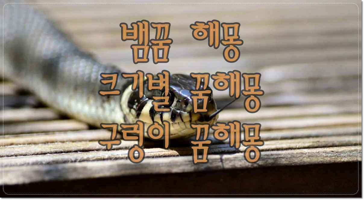 뱀의-색깔에-따른-뱀꿈-해몽