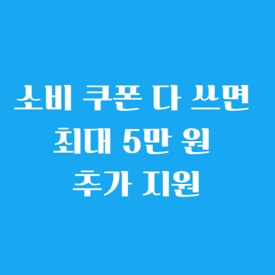 소비 쿠폰 다 쓰면 최대 5만 원 추가 지원