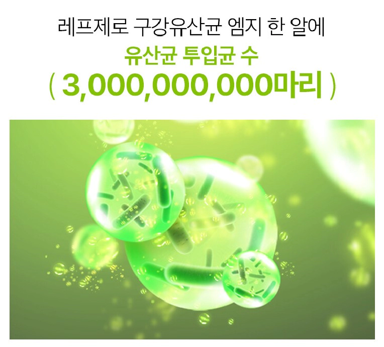 레프제로 구강유산균 추천 