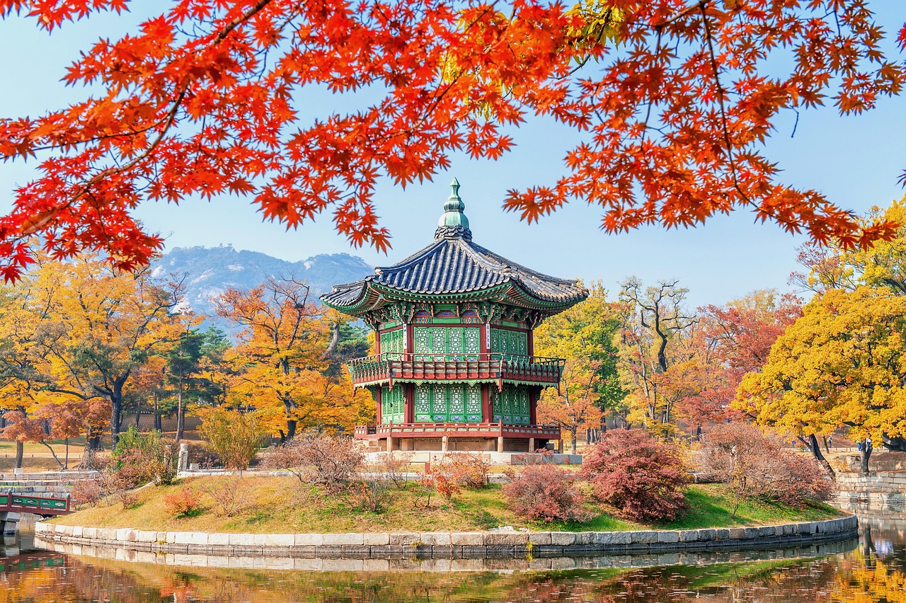 강원도 단풍 명소 중 설악산 정원에 있는 단풍에 관련된 사진