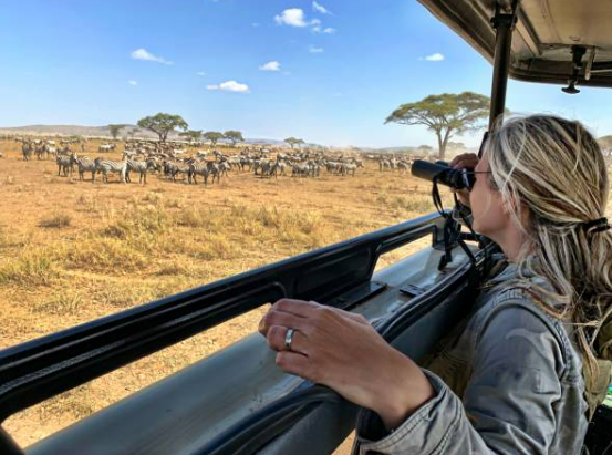 사파리 투어하는 사진