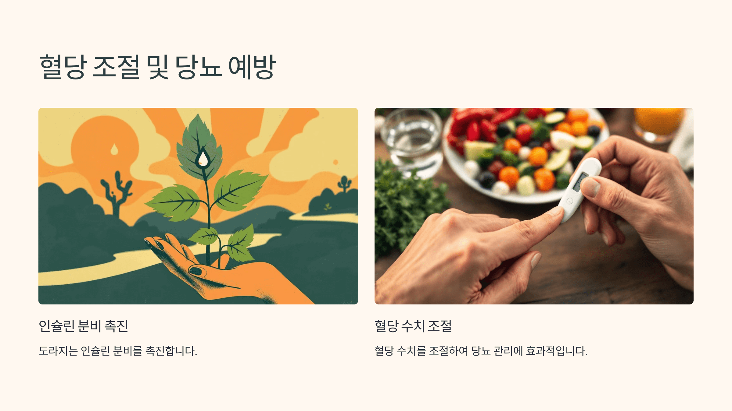 도라지 사진입니다.