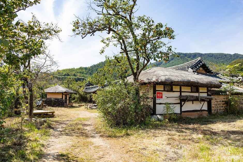 강원도 고성 가볼만한곳 베스트 10