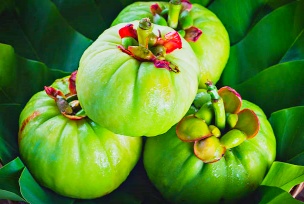 가르시니아 캄보지아 부작용