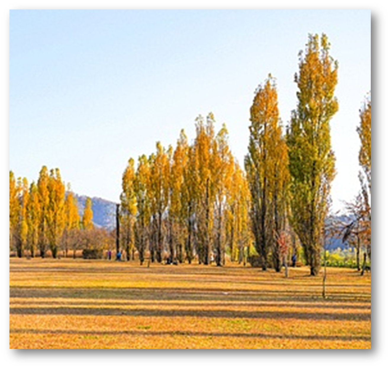 강천섬 유원지1