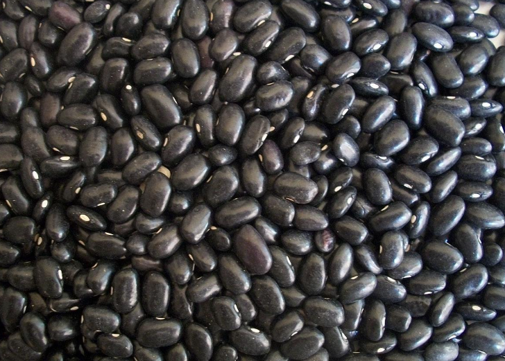 검은콩 관련 사진