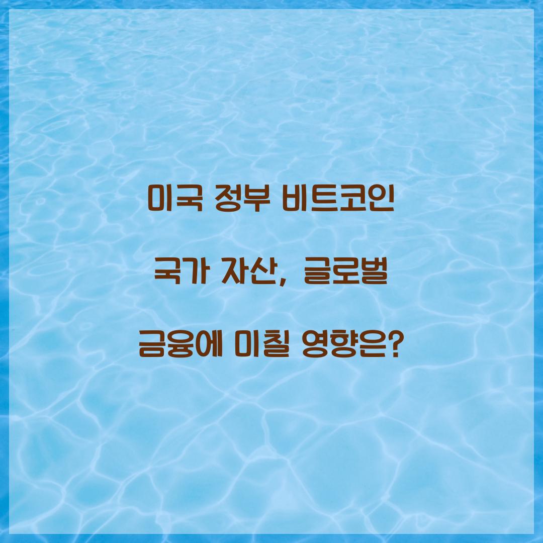 미국 정부 비트코인 국가 자산