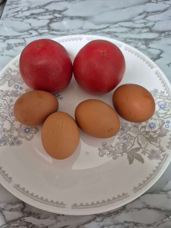 토마토 계란 출처/자체제작
