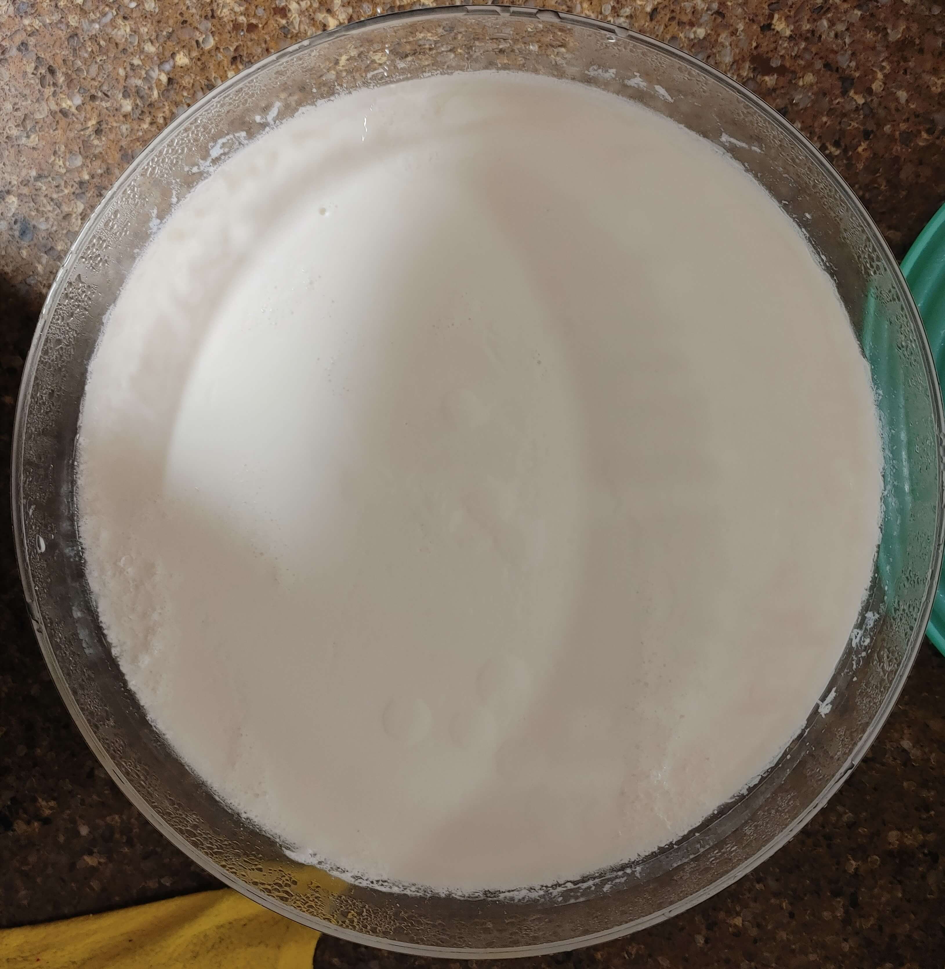 키토제닉을 위한 음식 그릭요거트 만드는 방법