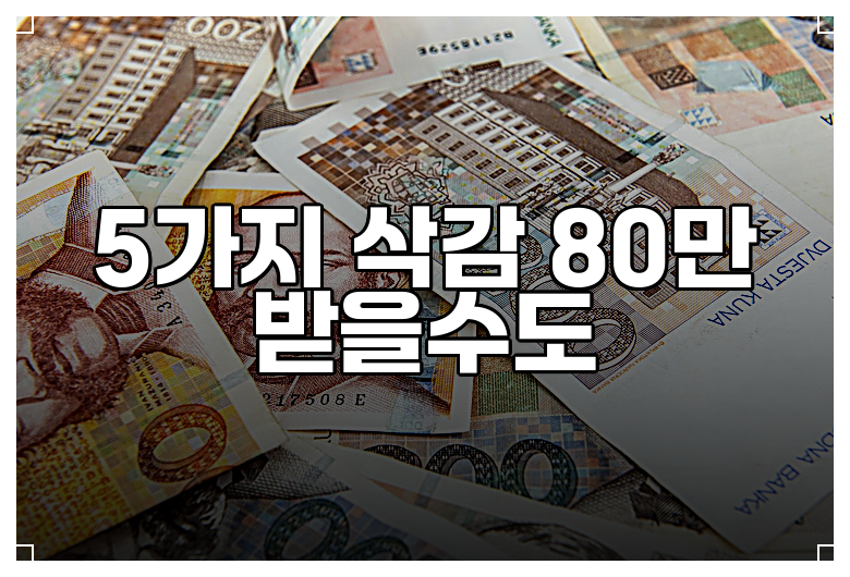 5가지 삭감 80만 받을수도