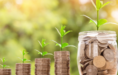 고흥-민생지원금