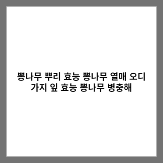 뽕나무 뿌리 효능 뽕나무 열매 오디 가지 잎 효능 뽕나무 병충해