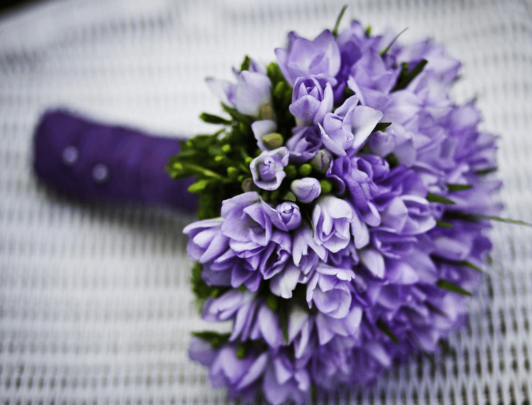 빼빼로데이 선물 추천