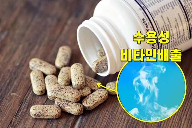 커피와 같이 먹으면 안되는 약, 종합비타민제 영양제, 팁줌