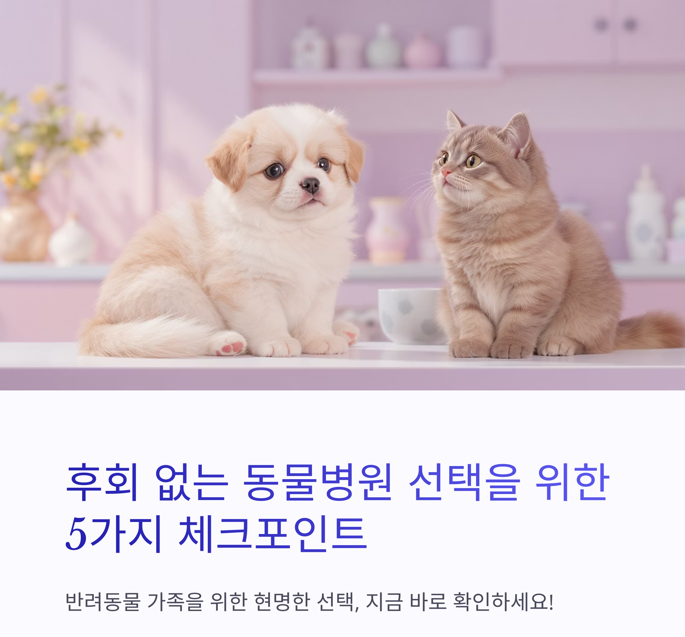 후회 없는 동물병원 선택을 위한 5가지 필수 체크포인트