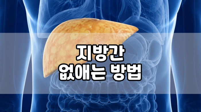 지방간 없애는 방법