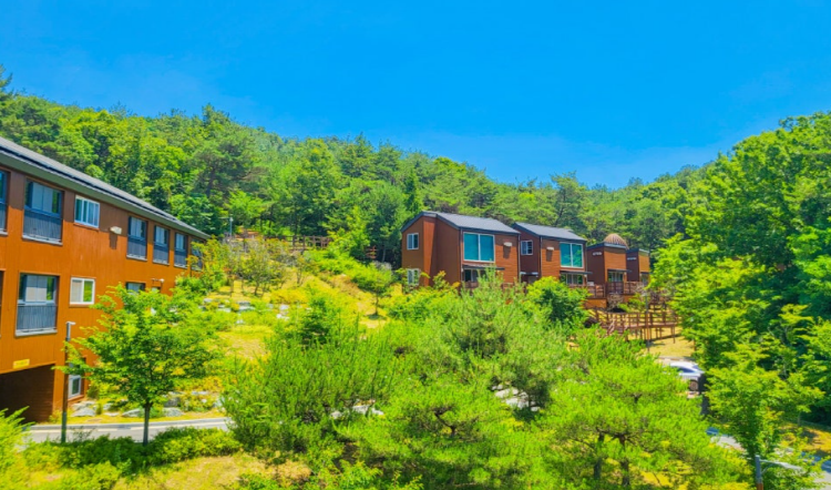 국립대전숲체원