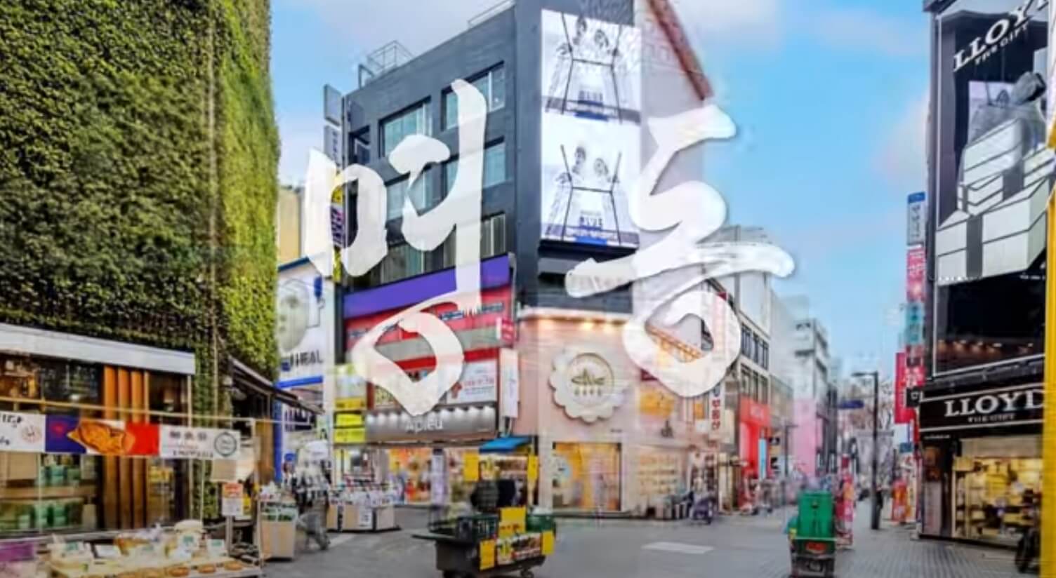 명동 코스