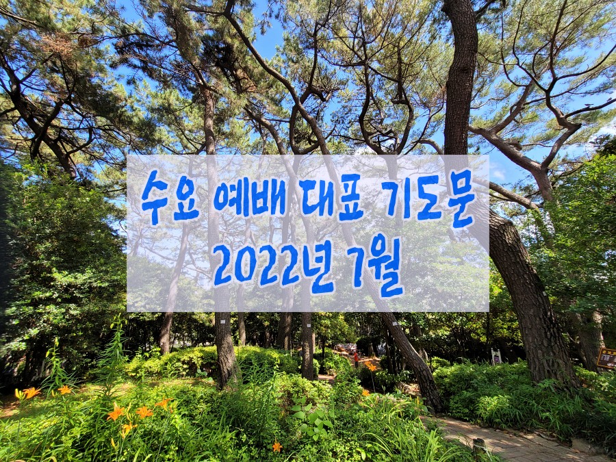 7월 수요 대표 기도문 모음